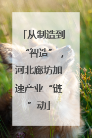 从制造到“智造”，河北廊坊加速产业“链”动