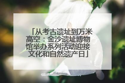 从考古遗址到万米高空：金沙遗址博物馆举办系列活动迎接文化和自然遗产日