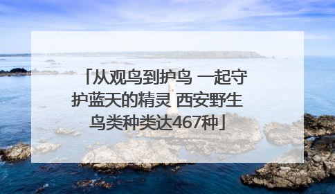 从观鸟到护鸟 一起守护蓝天的精灵 西安野生鸟类种类达467种