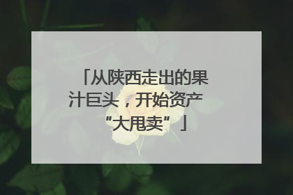 从陕西走出的果汁巨头，开始资产“大甩卖”