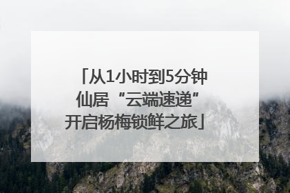 从1小时到5分钟 仙居“云端速递”开启杨梅锁鲜之旅