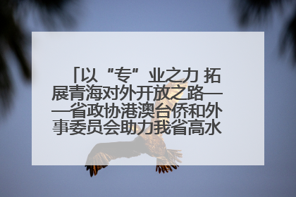 以“专”业之力 拓展青海对外开放之路——省政协港澳台侨和外事委员会助力我省高水平开放和高质量发展