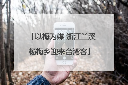 以梅为媒 浙江兰溪杨梅乡迎来台湾客