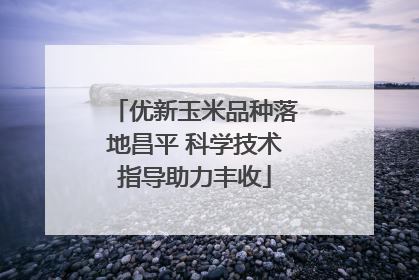 优新玉米品种落地昌平 科学技术指导助力丰收