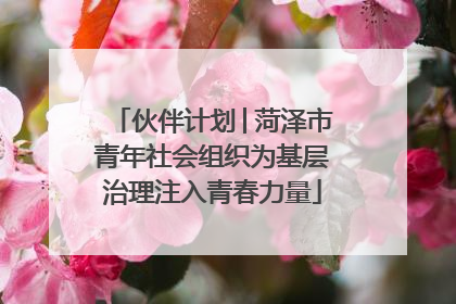 伙伴计划│菏泽市青年社会组织为基层治理注入青春力量