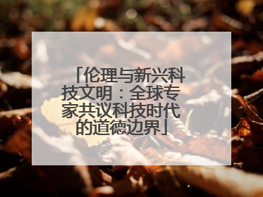 伦理与新兴科技文明：全球专家共议科技时代的道德边界