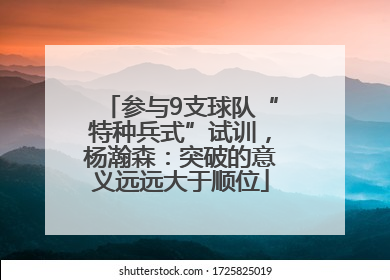 参与9支球队“特种兵式”试训，杨瀚森：突破的意义远远大于顺位