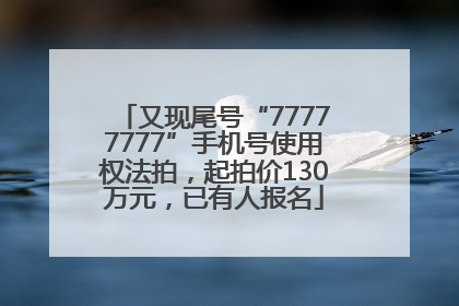 又现尾号“77777777”手机号使用权法拍，起拍价130万元，已有人报名