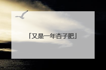 又是一年杏子肥