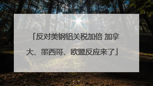 反对美钢铝关税加倍 加拿大、墨西哥、欧盟反应来了