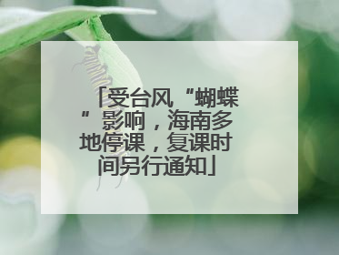 受台风“蝴蝶”影响，海南多地停课，复课时间另行通知
