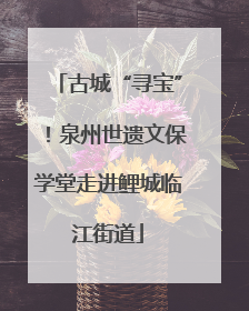 古城“寻宝”！泉州世遗文保学堂走进鲤城临江街道