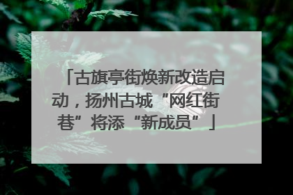 古旗亭街焕新改造启动，扬州古城“网红街巷”将添“新成员”