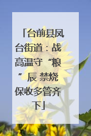 台前县凤台街道：战高温守“粮”辰 禁烧保收多管齐下
