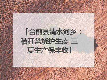 台前县清水河乡：秸秆禁烧护生态 三夏生产保丰收