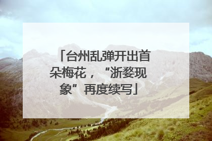 台州乱弹开出首朵梅花，“浙婺现象”再度续写