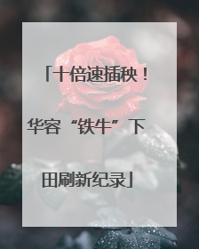十倍速插秧！华容“铁牛”下田刷新纪录