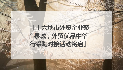 十六地市外贸企业聚首泉城，外贸优品中华行采购对接活动将启