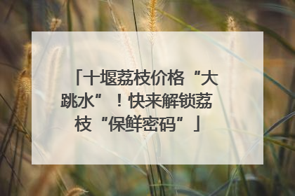 十堰荔枝价格“大跳水”！快来解锁荔枝“保鲜密码”