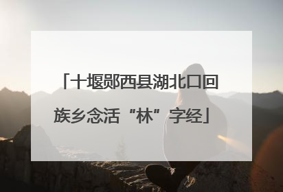 十堰郧西县湖北口回族乡念活“林”字经