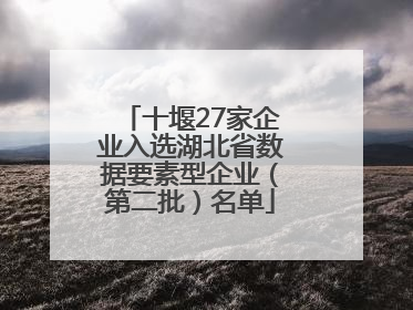 十堰27家企业入选湖北省数据要素型企业（第二批）名单