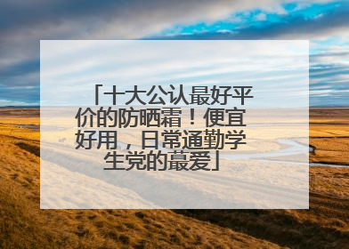 十大公认最好平价的防晒霜！便宜好用，日常通勤学生党的蕞爱