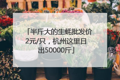 半斤大的生蚝批发价2元/只，杭州这里日出50000斤