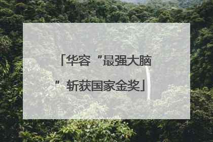 华容“最强大脑”斩获国家金奖
