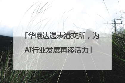 华曦达递表港交所，为AI行业发展再添活力
