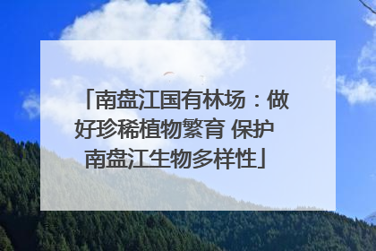 南盘江国有林场：做好珍稀植物繁育 保护南盘江生物多样性
