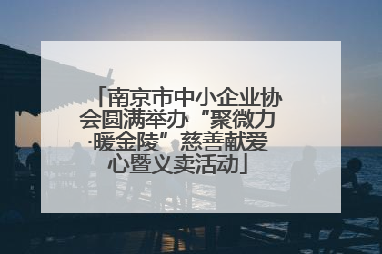 南京市中小企业协会圆满举办“聚微力·暖金陵”慈善献爱心暨义卖活动