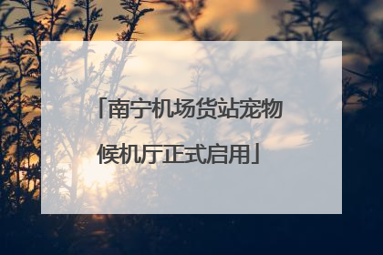 南宁机场货站宠物候机厅正式启用