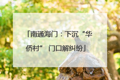 南通海门：下沉“华侨村” 门口解纠纷
