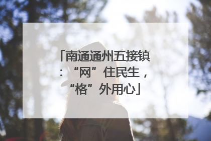 南通通州五接镇：“网”住民生，“格”外用心