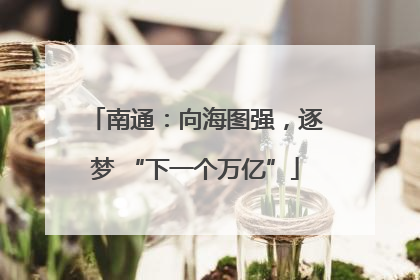 南通：向海图强，逐梦 “下一个万亿”
