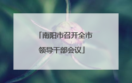 南阳市召开全市领导干部会议