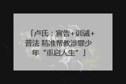 卢氏：宣告+训诫+普法 精准帮教涉罪少年“重启人生”