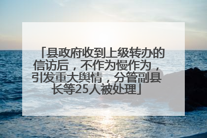 县政府收到上级转办的信访后，不作为慢作为，引发重大舆情，分管副县长等25人被处理