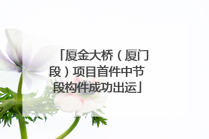 厦金大桥（厦门段）项目首件中节段构件成功出运