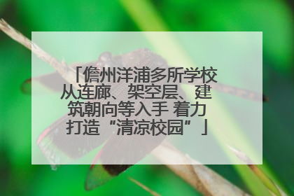 儋州洋浦多所学校从连廊、架空层、建筑朝向等入手 着力打造“清凉校园”