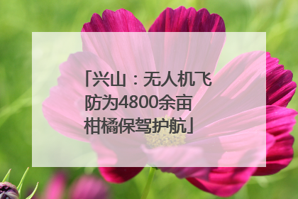 兴山：无人机飞防为4800余亩柑橘保驾护航