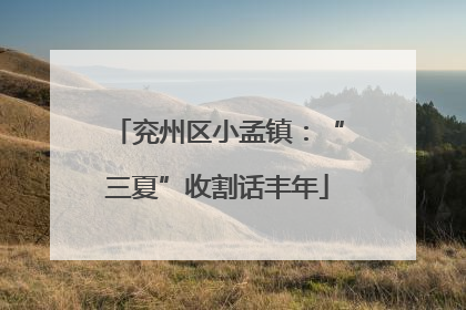 兖州区小孟镇：“三夏”收割话丰年