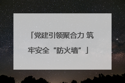 党建引领聚合力 筑牢安全“防火墙”