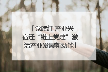 党旗红 产业兴 宿迁“链上党建”激活产业发展新动能