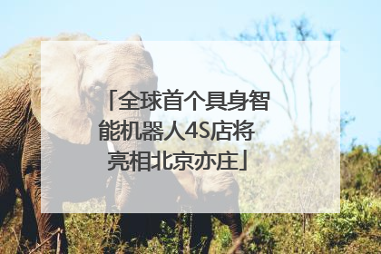 全球首个具身智能机器人4S店将亮相北京亦庄