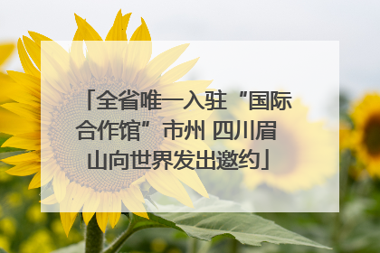 全省唯一入驻“国际合作馆”市州 四川眉山向世界发出邀约