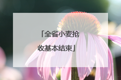 全省小麦抢收基本结束