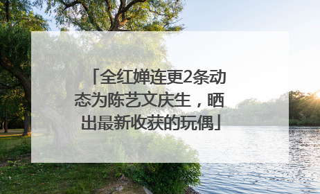 全红婵连更2条动态为陈艺文庆生，晒出最新收获的玩偶