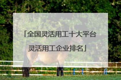 全国灵活用工十大平台 灵活用工企业排名