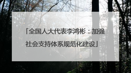 全国人大代表李鸿彬：加强社会支持体系规范化建设